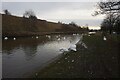 Trent & Mersey canal towards bridge #166