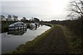 Trent & Mersey canal towards bridge #160