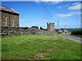 J5945 : Kilclief Castle, County Down by Nigel Thompson