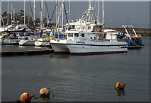 J5082 : The 'Kintra II' at Bangor by Rossographer