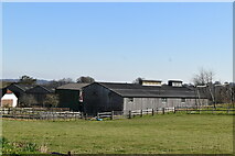 TQ6432 : Little Pell Farm by N Chadwick