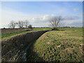 Bend in a drain, Great Hale Fen