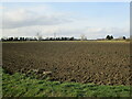 Ploughed field, Great Hale Fen