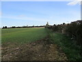 TF1341 : Autumn sown crop near Helpringham by Jonathan Thacker