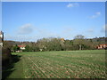 Stubble field at Kirklington