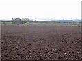 Ploughed field and esker, Gask Ridge