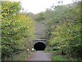 SK1871 : Entrance  to  Headstone  Tunnel  Monsal  Head by Martin Dawes