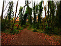 Public footpath near to the top of Little Tinker