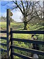 Footpath near Blaenbrynich