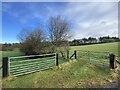 Farm gates on a hedge line