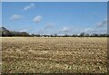 View over farmland