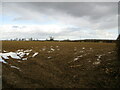 Muddy field  off Thistleton Lane