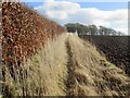 Field margin, Raith