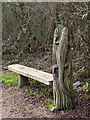 Leyton : carved lizard, Waterworks Nature Reserve