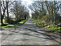 Long straight on East Ruston Road