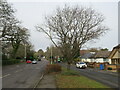 SZ0096 : Higher Blandford Road, Broadstone, near Poole by Malc McDonald