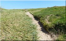 NT4799 : Path through the dunes at Earlsferry Links by Mat Fascione