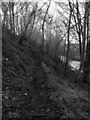 Path between Stoney Battery Road and Manchester Road, Paddock