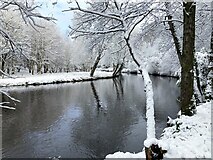 H4772 : Snow along the Camowen River by Kenneth  Allen