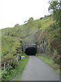 SK1672 : Entrance  to  Cressbrook  tunnel  Miller's  Dale by Martin Dawes