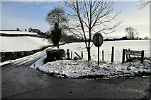 H4570 : Shanley Road, Beagh by Kenneth  Allen