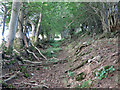 Sunken path near Shittlehopeside Farm (2)