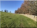 Bridleway Along The Edge Of The Ashes