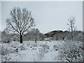 Snow near Forgewood