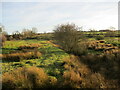 Rough grazing between Braunston and Brooke