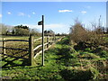 Footpath towards Gunthorpe