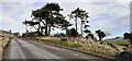 Village road towards The Tofts passing viewpoint