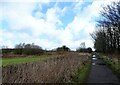 View along the Lancheater Railway Walk