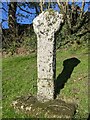 SX1073 : Old Wayside Cross SE of Blisland by L Nott