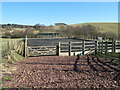 Horse exercise area