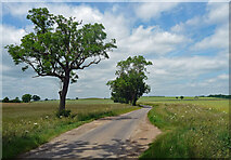 TF0914 : Country road near Obthorpe (2) by Stephen Richards