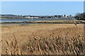 SY9991 : View of reed beds and Holes Bay by David Martin