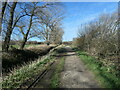 South Wall, part of the White Cliffs Country Trail