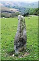 Standing Stone No.2 at Stones