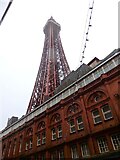 SD3036 : Looking Up Blackpool Tower from Bank Hey Street by Stephen Armstrong