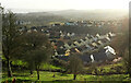 Housing, Barton