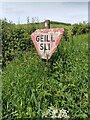 S0942 : Irish Yield sign near Cashel, Tipperary by colm
