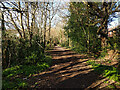 Bridleway 98W, Maidenbower, Crawley