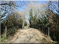 The Cuckoo Trail near Maynard