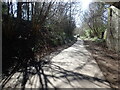 Looking underneath West Street Lane Bridge on the Cuckoo Trail