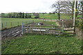 Footpath to Pirehill Lane