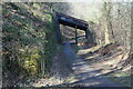 SO2606 : Shop Road Bridge over Afon Lwyd Trail by M J Roscoe