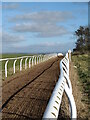 Training gallops at Hambleton House