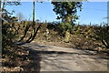 Sussex Border Path meets Bewl Bridge Lane