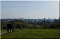 TQ2786 : View from Parliament Hill by Lauren