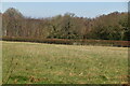 TQ6434 : Kent pasture by N Chadwick